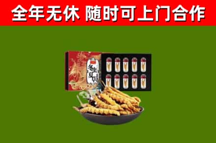 河南省回收冬虫夏草价格